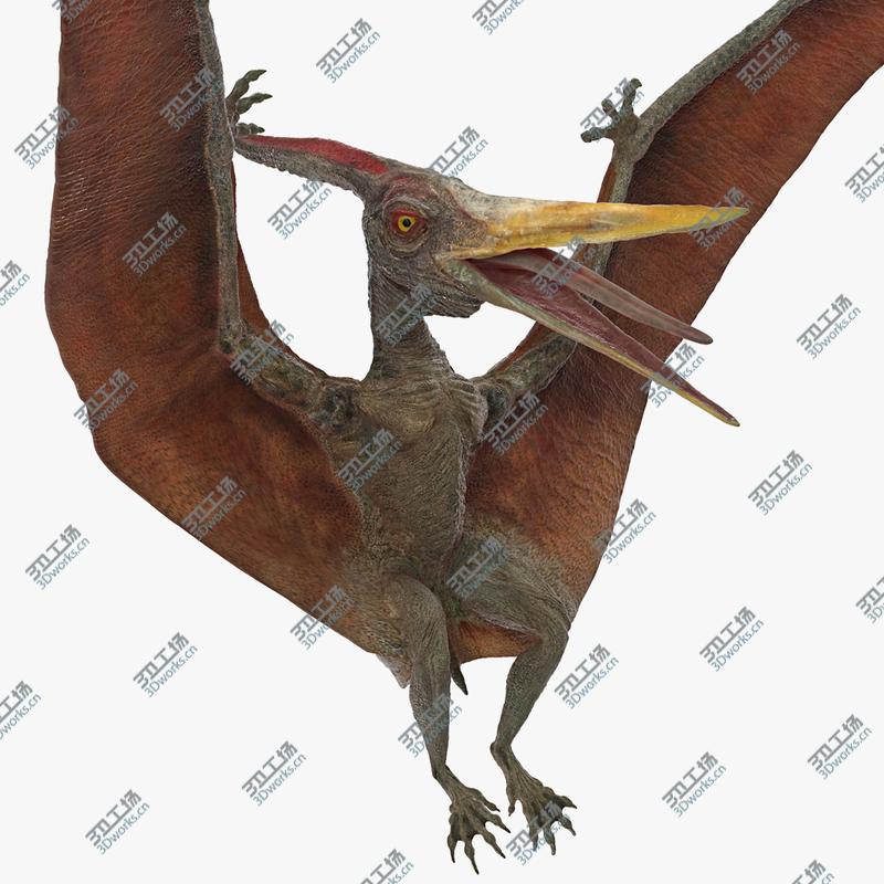 images/goods_img/202105072/Pteranodon Landing Pose 3D model/1.jpg